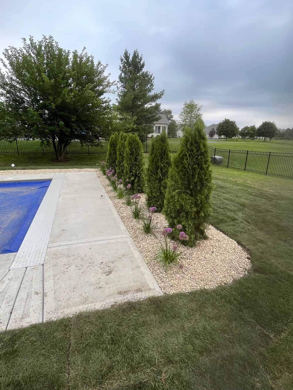 Tree and Shrub Services image