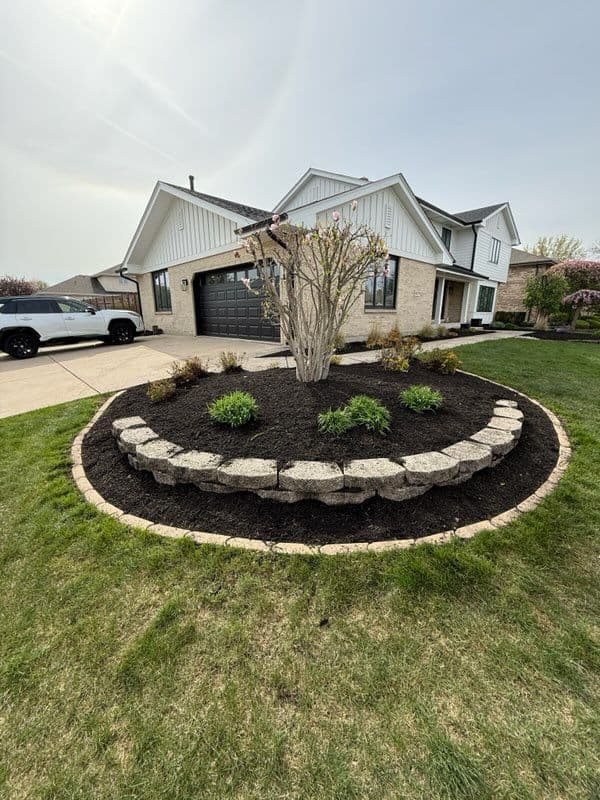 Stunning Black Mulch Transformation in Suburban Front Yard image