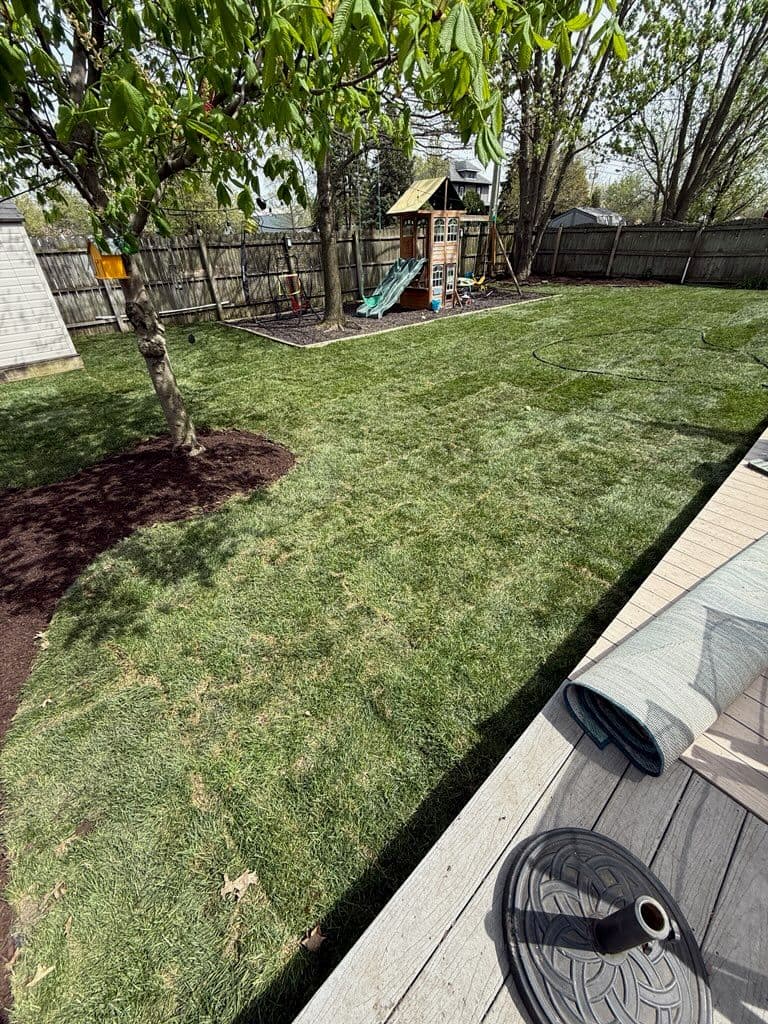 Gallery photos for Backyard Transformation with Lush Green Sod: Image #1