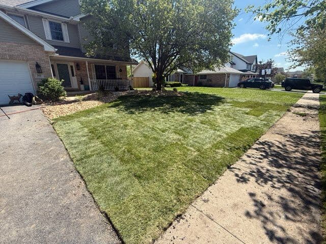 New Lenox Lawn Transformation with Lush Sod image